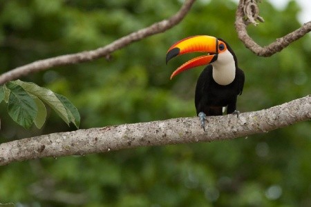 Lesk a kúzlo Brazílie - 14