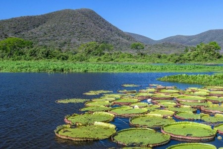 Lesk a kúzlo Brazílie - 15