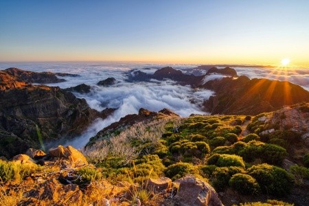 Dorisol Komplex - 41