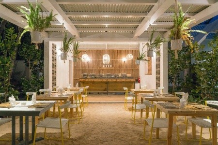 Tropical Attitude - 28