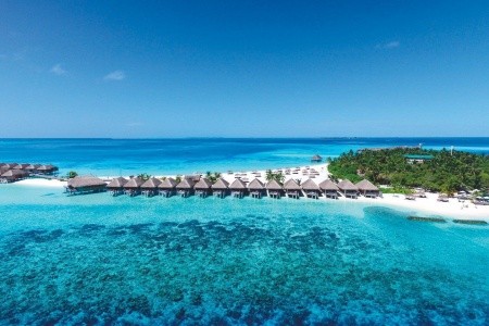 Constance Moofushi - 3