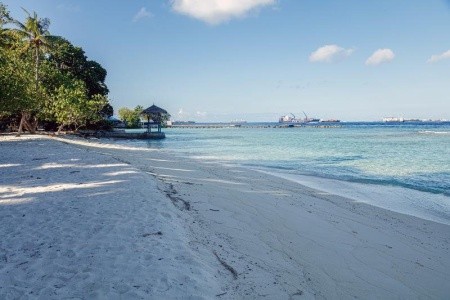 Vinorva Maldives - 3