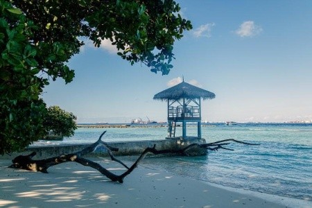 Vinorva Maldives - 5