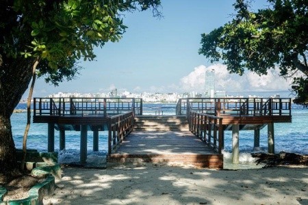 Vinorva Maldives - 9