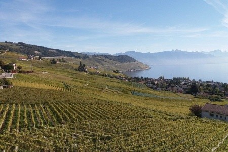 Od Ženevského jezera pod Mont Blanc - 9