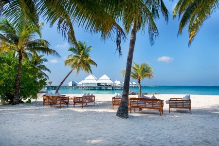 Diamonds Thudufushi Beach & Water Villas - 4