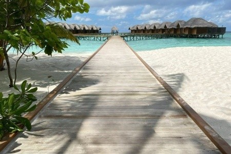 Fihalhohi Island Resort - 6