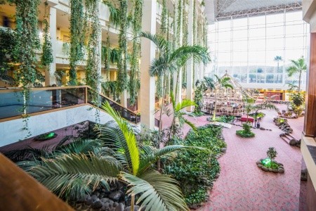 Beatriz Costa & Spa - 16