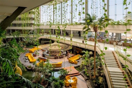 Alexandre Grand Teguise Playa - 7