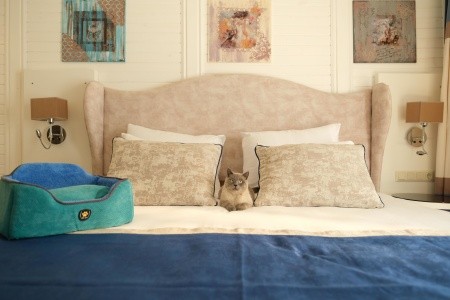 Nirvana Dolce Vita - 178