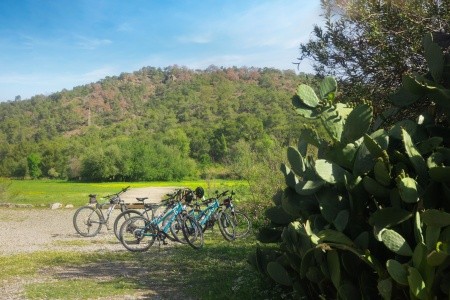 Nirvana Dolce Vita - 184