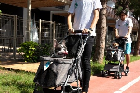 Turecko Antalya Nirvana Cosmopolitan (Ex.