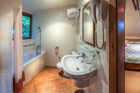 Ski & Wellness Residence Družba - 11