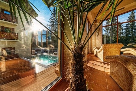Ski & Wellness Residence Družba - 20