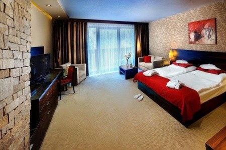 Wellness Hotel Chopok - 10