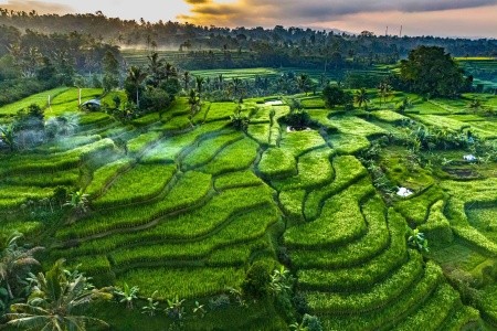 Za koupáním a poznáváním Bali - 19