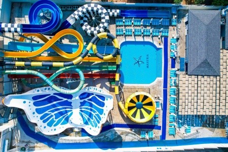 Maxeria Blue Didyma - 3