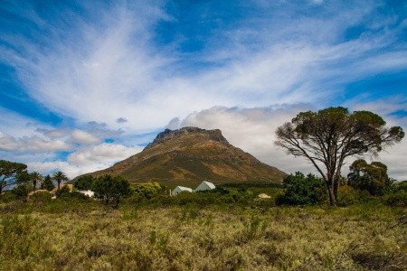 KAPSKÉ MĚSTO, POTÁPĚNÍ SE ŽRALOKY BÍLÝMI A SAFARI - 4