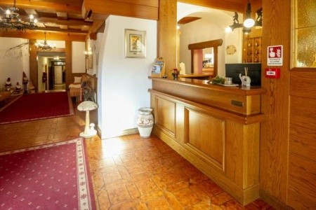 Stella Alpina (Bellamonte) - 5