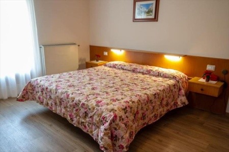 Stella Alpina (Bellamonte) - 19