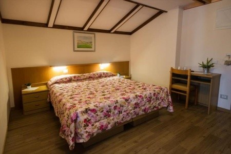 Stella Alpina (Bellamonte) - 22