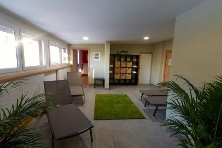 Stella Alpina (Bellamonte) - 41