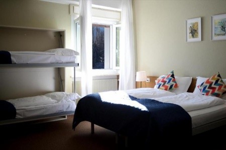 Stella Alpina (Bellamonte) - 46