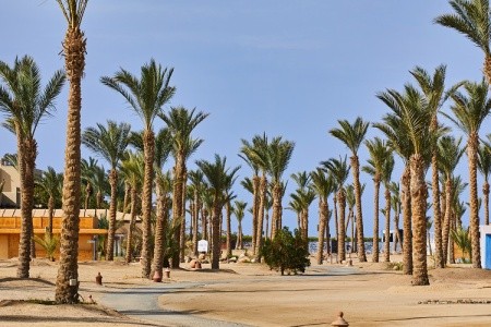 Pickalbatros Palace Hotel - Port Ghalib (Ex. Albatros The Palace Port Ghalib) - 26