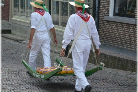 MOZAIKA HOLANDSKA - 13