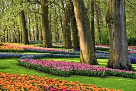 JARNÍ KOUZLO BENELUXU - 5