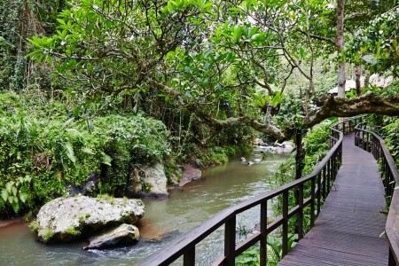 Maya Ubud Resort Bali - 4