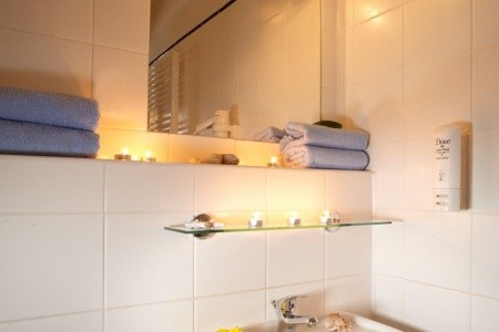 Orea Hotel Bohemia - 7