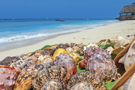 Zanzibar Nungwi Langi Langi Beach Bungalows 16 dňový pobyt Raňajky Letecky Letisko: Praha January 2026 (17/01/26- 1/02/26)