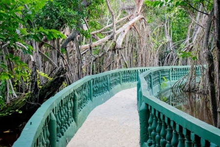 Dominikánska republika Punta Cana Grand Bávaro Princess 9 dňový pobyt All Inclusive Letecky Letisko: Praha November 2025 (21/11/25-29/11/25)