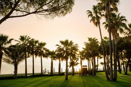 Acanthus & Cennet Barut Collection - 71