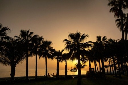 Acanthus & Cennet Barut Collection - 72