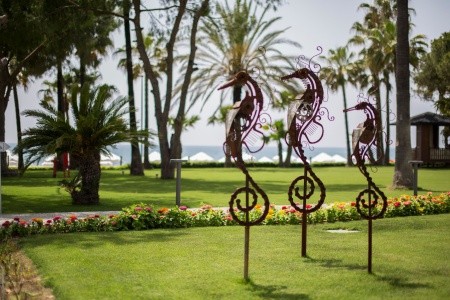 Acanthus & Cennet Barut Collection - 75