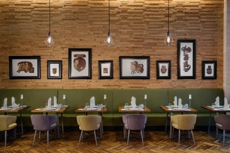 Acanthus & Cennet Barut Collection - 101