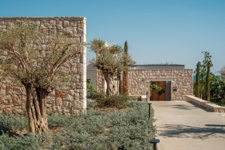 Anda Barut Collection - 313