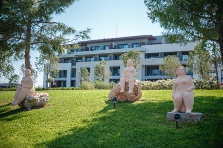 Anda Barut Collection - 314