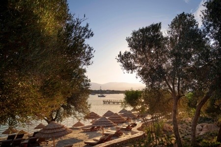 Anda Barut Collection - 320