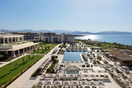 Anda Barut Collection - 336