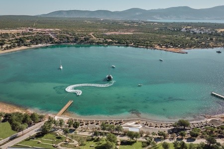 Anda Barut Collection - 351