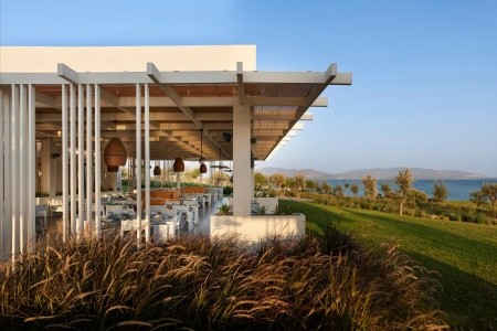 Anda Barut Collection - 355