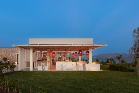 Anda Barut Collection - 378