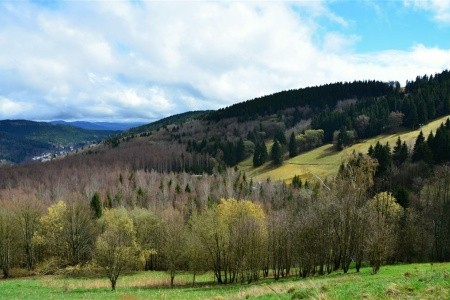 Pytloun Wellness Hotel Hasištejn - 39