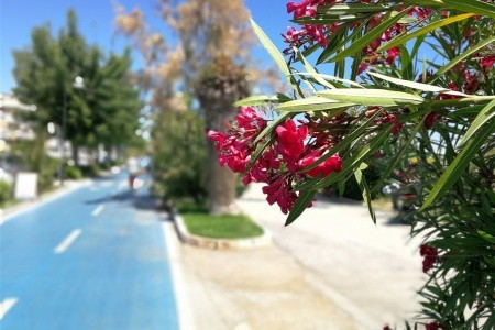 Taliansko Abruzzo Kemp Salinello 10 dňový pobyt Bez stravy Autobus July 2026 ( 3/07/26-12/07/26)