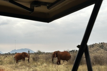 Dovolená Mombasa 2026 - Ubytování od 5.1.2026 do 13.1.2026