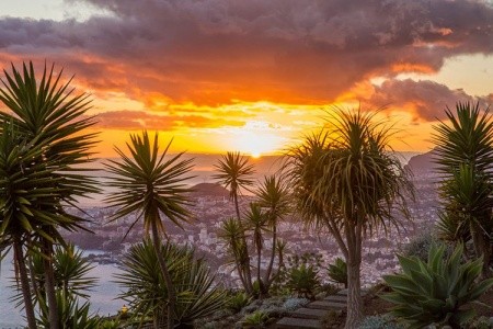 Palheiro Village - 11