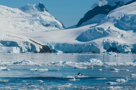 Plavba Na Antarktidu - 17